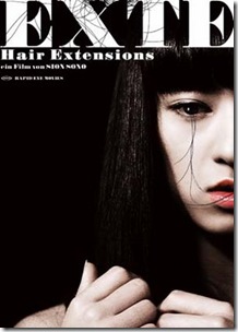 Hair Extension Poster