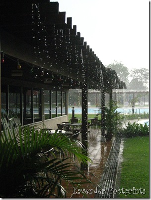 rain drops in KGNS